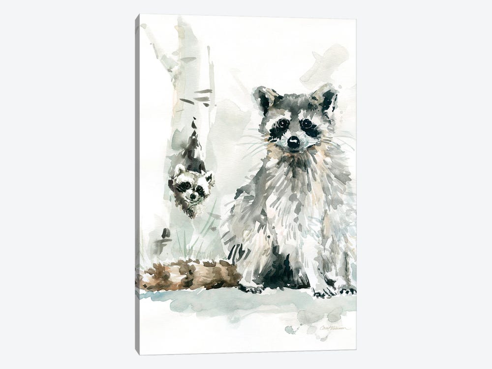 Raccoon and Baby by Carol Robinson 1-piece Canvas Artwork