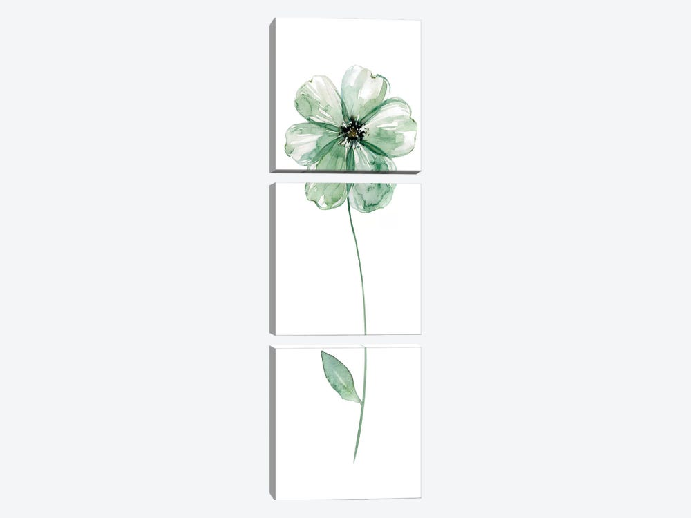 Sage Flower I by Carol Robinson 3-piece Canvas Wall Art