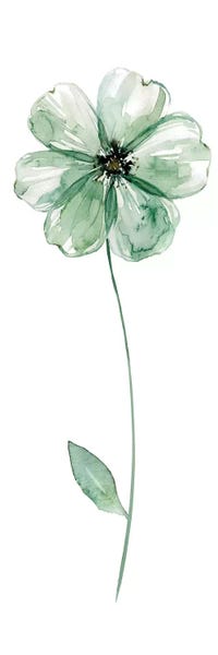 Watercolor Flowers: Sage Flower I by Carol Robinson