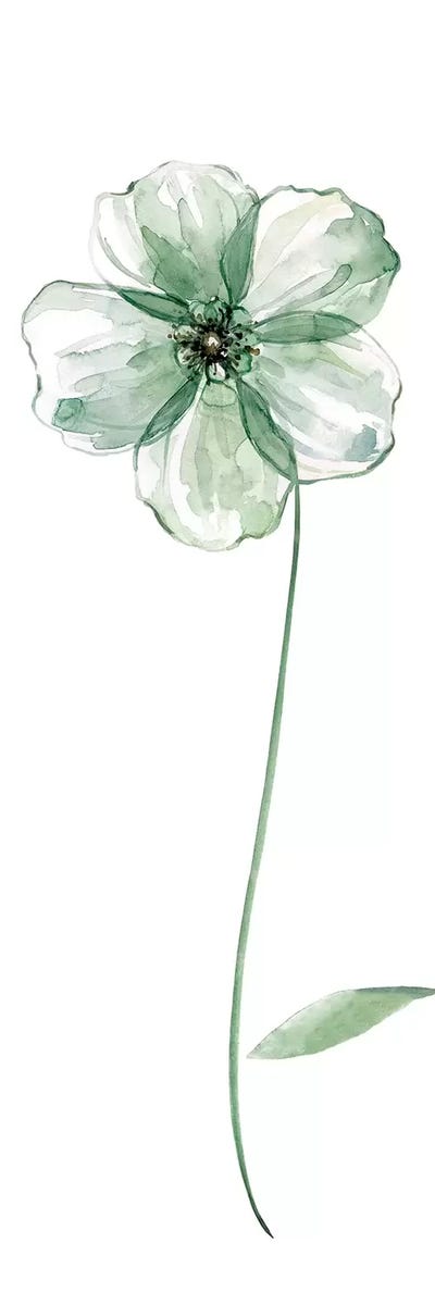 Sage Flower II by Carol Robinson canvas print