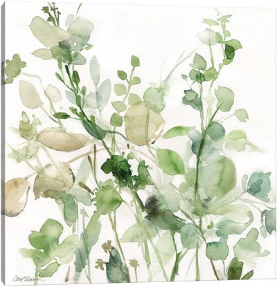 Sage Garden II Canvas Art Print - Watercolor Flowers