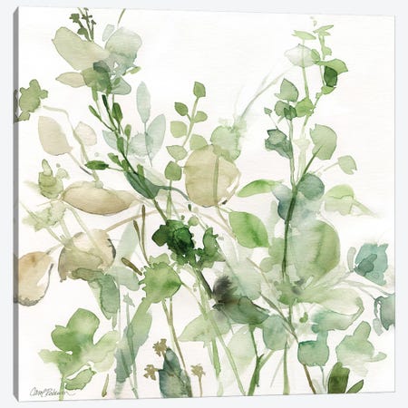 Sage Garden II Canvas Print #CRO178} by Carol Robinson Canvas Art Print