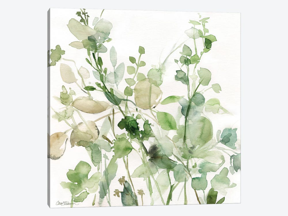 Sage Garden II by Carol Robinson 1-piece Canvas Art Print
