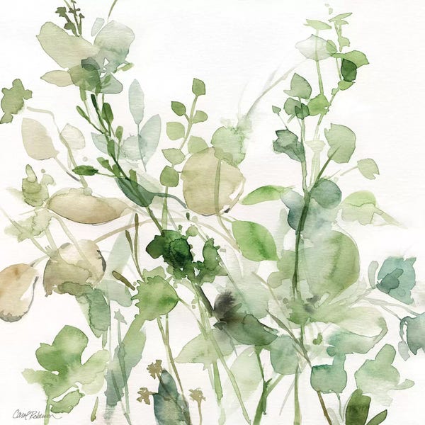 Galaxy Of Graphics: Sage Garden II by Carol Robinson