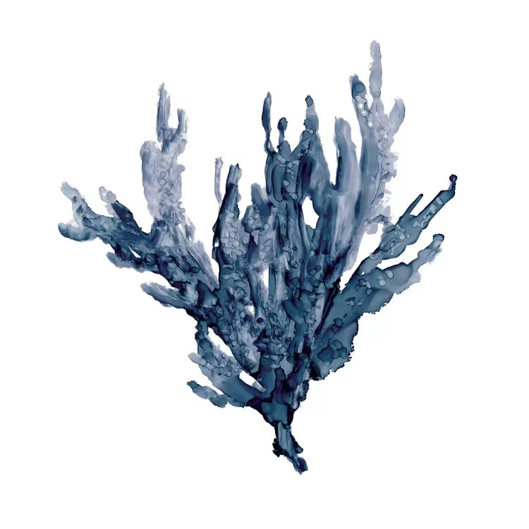 Sea Coral I