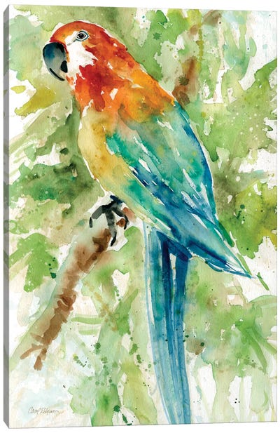 Island Beauty II Canvas Art Print - Parrot Art