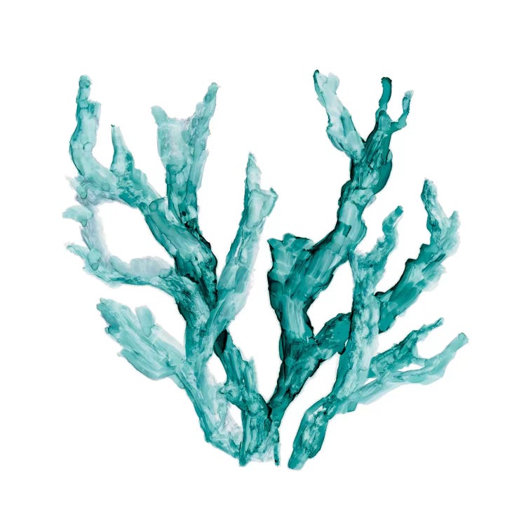 Sea Coral II