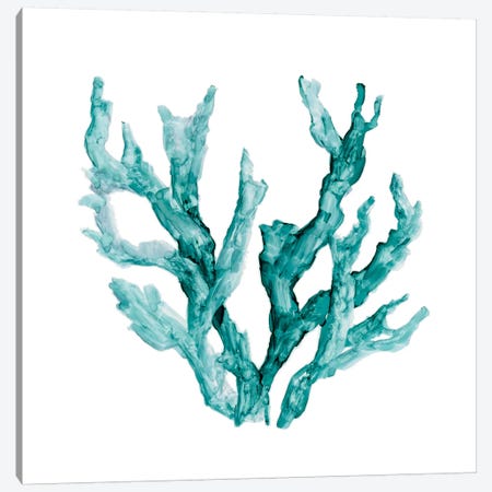 Sea Coral II Canvas Print #CRO180} by Carol Robinson Canvas Artwork
