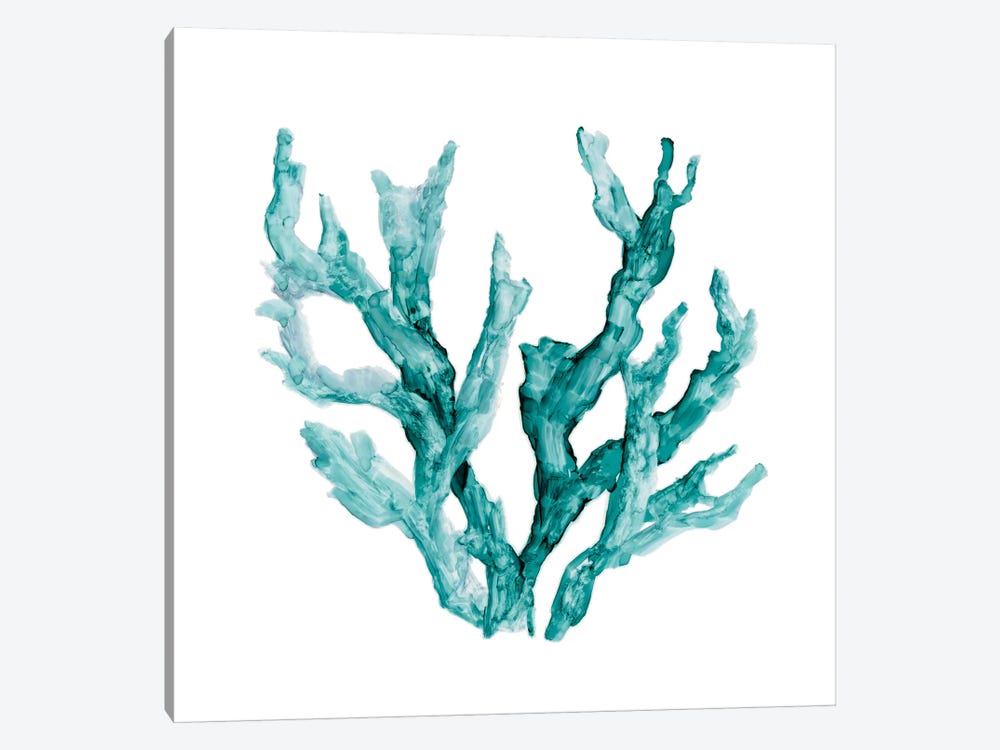 Sea Coral II by Carol Robinson 1-piece Canvas Artwork