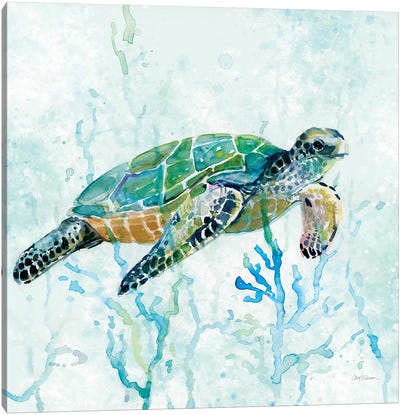Sea Turtle Swim I Canvas Art Print - Large Art for Bathroom