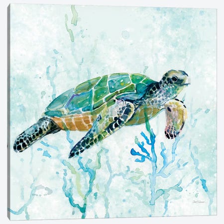 Sea Turtle Swim I Canvas Print #CRO182} by Carol Robinson Canvas Wall Art