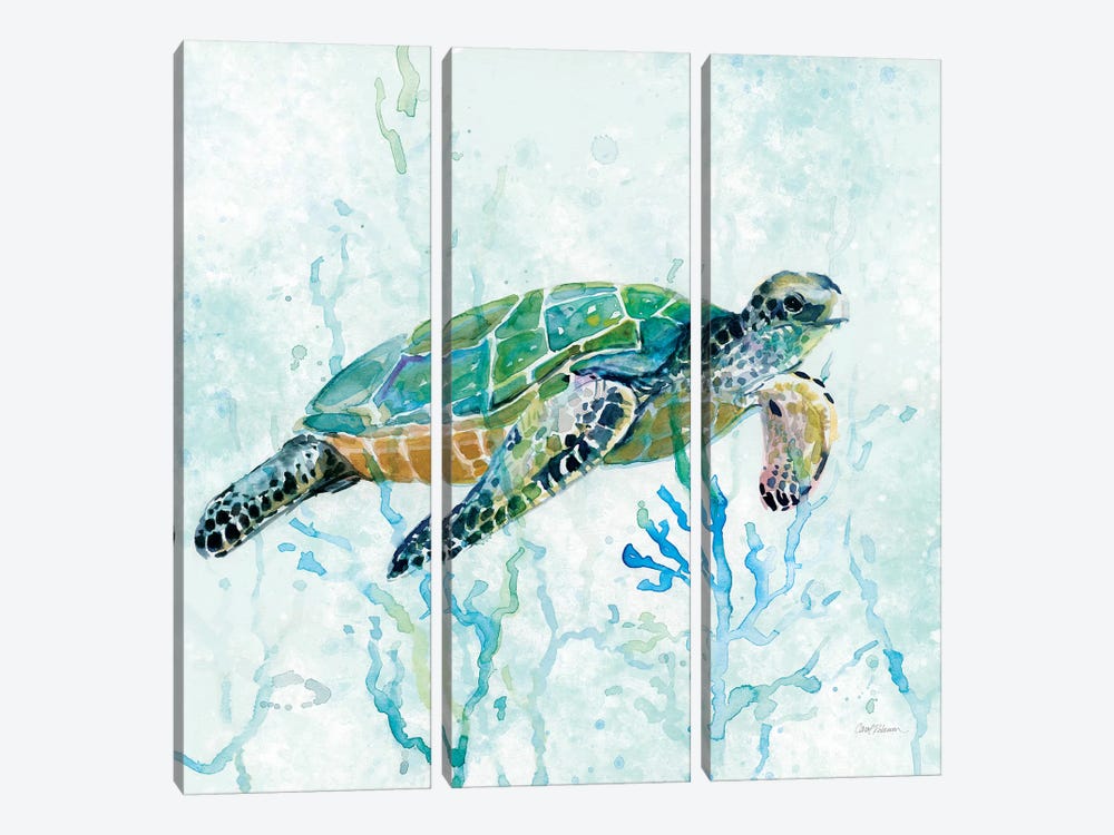 Sea Turtle Swim I by Carol Robinson 3-piece Canvas Artwork
