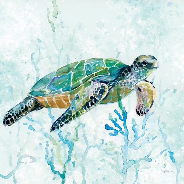 Large Wall Art & Big Canvas Prints: Sea Turtle Swim I by Carol Robinson