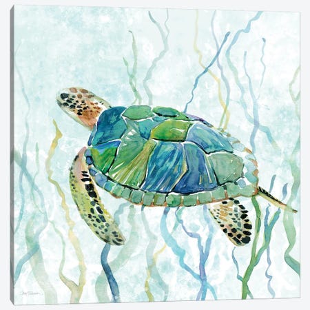 Sea Turtle Swim II Canvas Print #CRO183} by Carol Robinson Canvas Art