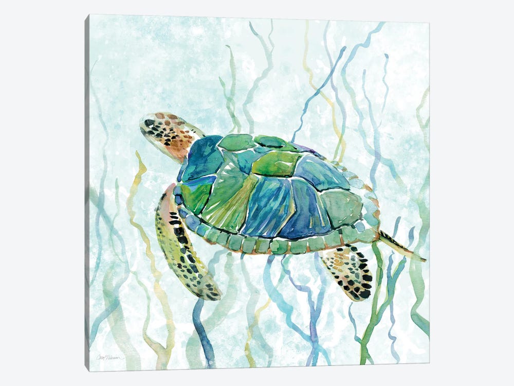 Sea Turtle Swim II by Carol Robinson 1-piece Canvas Art Print