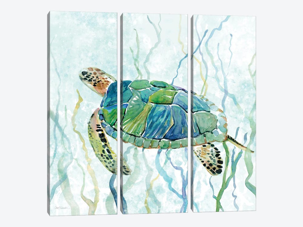 Sea Turtle Swim II by Carol Robinson 3-piece Canvas Print