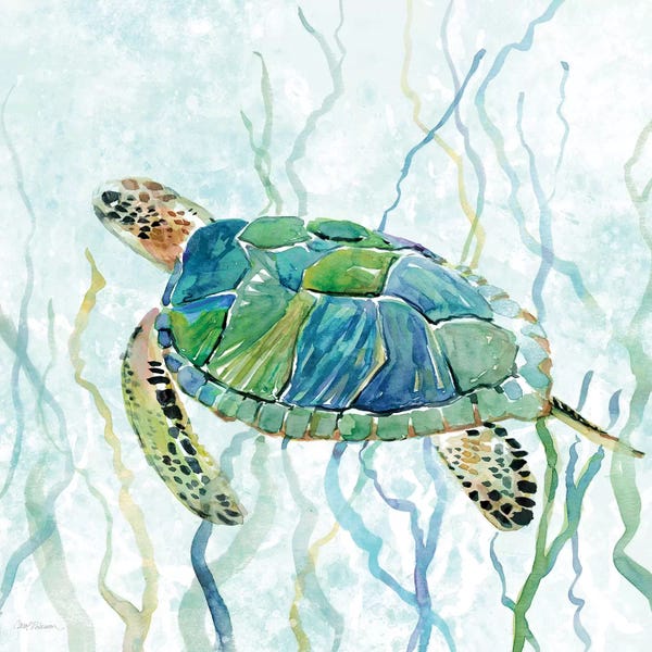 Large Art for Bathroom - Canvas Prints: Sea Turtle Swim II by Carol Robinson