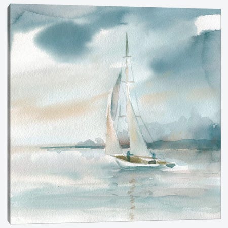 Subtle Mist Canvas Print #CRO188} by Carol Robinson Canvas Art