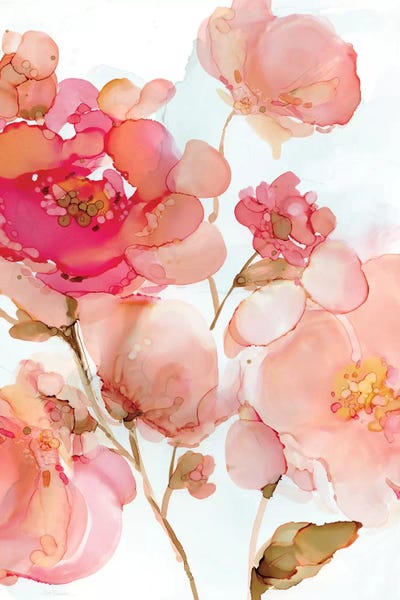 Watercolor Flowers: Vivid Peonies by Carol Robinson