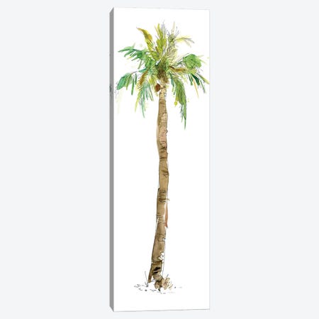 Washed Palm I Canvas Print #CRO195} by Carol Robinson Canvas Artwork