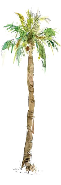 Tropical Living Room: Washed Palm I by Carol Robinson