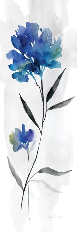 Beautiful Blue II by Carol Robinson wall art