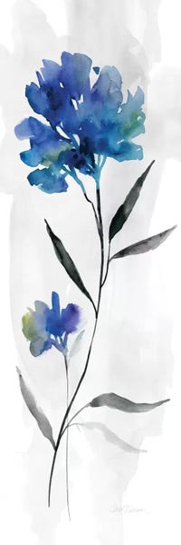 Panoramic Vertical: Beautiful Blue II by Carol Robinson