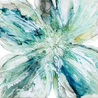 Blossom Bursts by Carol Robinson canvas print