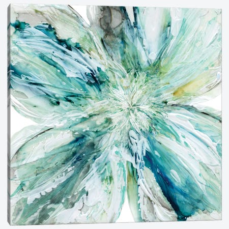 Blossom Bursts Canvas Print #CRO213} by Carol Robinson Canvas Artwork