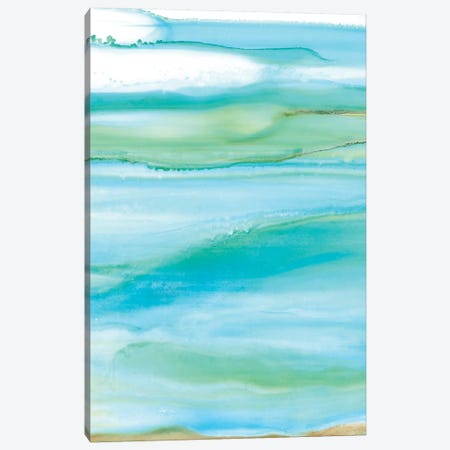 Coastal Abstract I Canvas Print #CRO220} by Carol Robinson Canvas Art Print