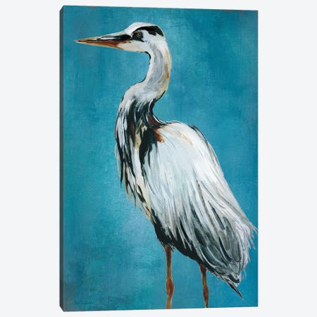 Great Blue Heron II Canvas Print #CRO261} by Carol Robinson Art Print