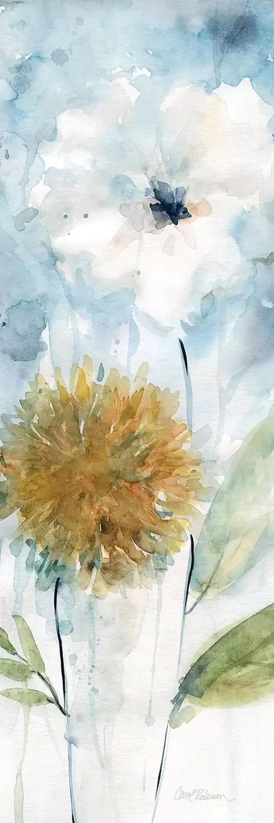 Holland Spring Blooms I by Carol Robinson canvas print