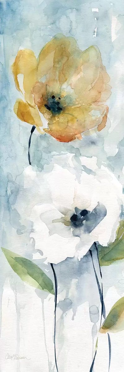 Holland Spring Blooms II by Carol Robinson canvas print