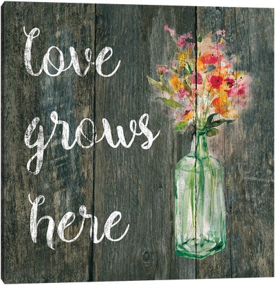 Love Grows Here II Canvas Art Print - Love Typography