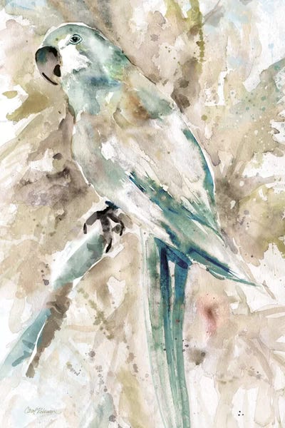 Parrots: Morning In Rio II by Carol Robinson