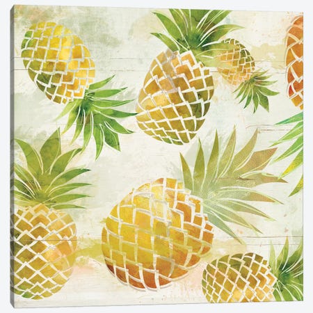 Pineapple Dance I Canvas Print #CRO283} by Carol Robinson Canvas Art Print