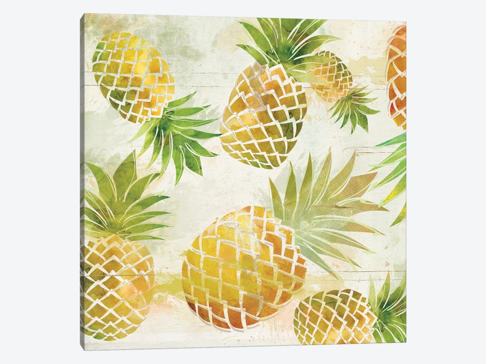 Pineapple Dance I by Carol Robinson 1-piece Canvas Print