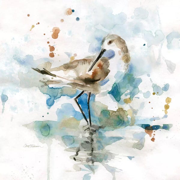 Summer: Palm Beach Piper by Carol Robinson