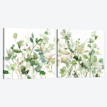 Sage Garden Diptych Canvas Print Set #CRO2HSET008} by Carol Robinson Canvas Artwork