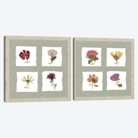 Pressed Blooms Diptych Canvas Print Set #CRO2HSET012} by Carol Robinson Canvas Print