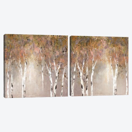 Sunlit Birch Diptych Canvas Print Set #CRO2HSET018} by Carol Robinson Art Print