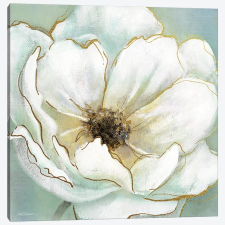 Soft Teal Splendor Canvas Print #CRO306} by Carol Robinson Canvas Print