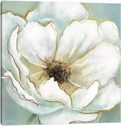Soft Teal Splendor Canvas Art Print - Carol Robinson