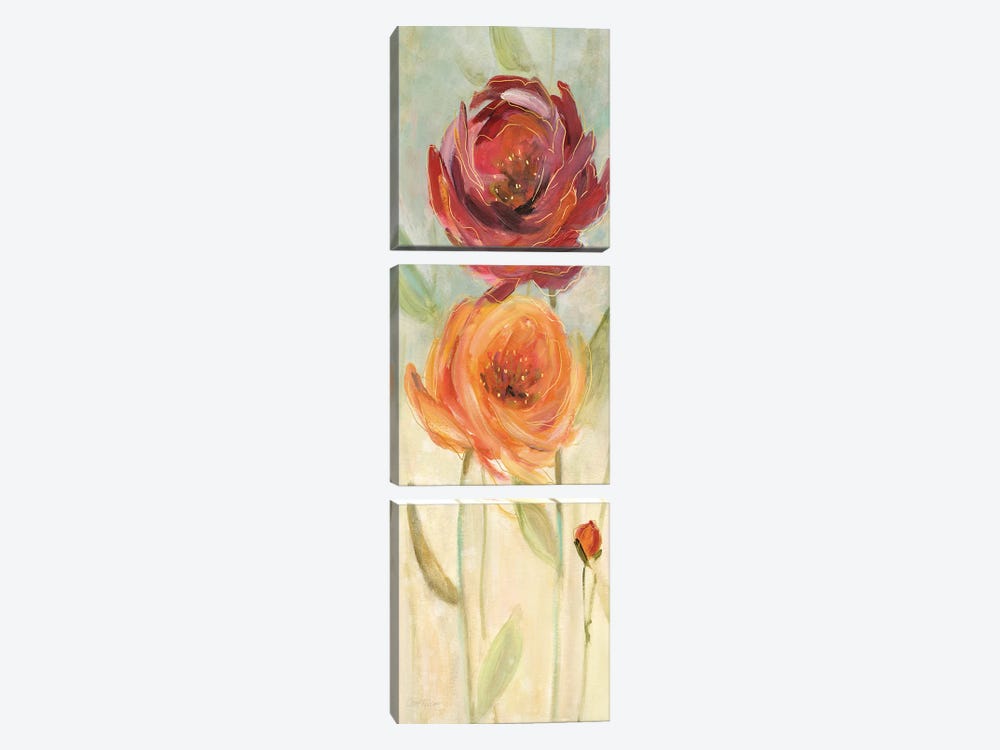 Sweet Poppies I by Carol Robinson 3-piece Canvas Art Print