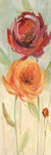 Peonies: Sweet Poppies I by Carol Robinson
