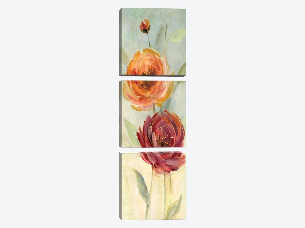 Sweet Poppies II by Carol Robinson 3-piece Canvas Artwork