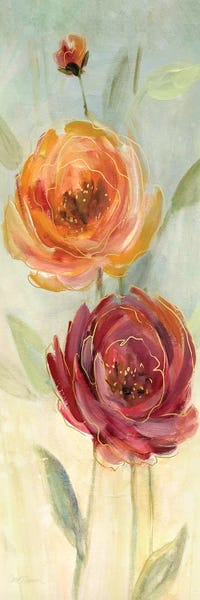 Peonies: Sweet Poppies II by Carol Robinson
