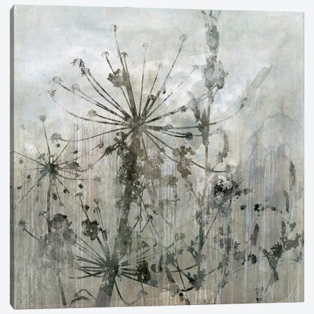 Winter's Lace I Canvas Print #CRO325} by Carol Robinson Canvas Print