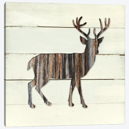 Woodland Deer Canvas Print #CRO328} by Carol Robinson Canvas Art
