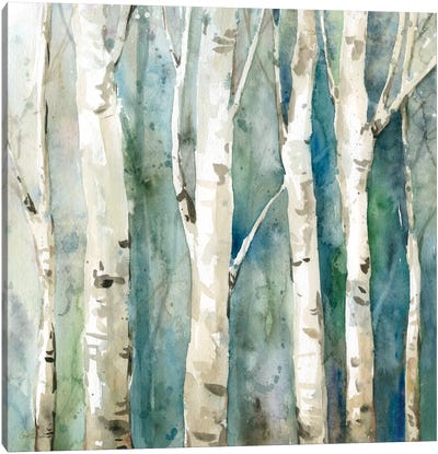 River Birch II Canvas Art Print - Birch Tree Art